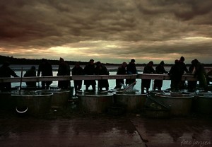 Fotogalerie